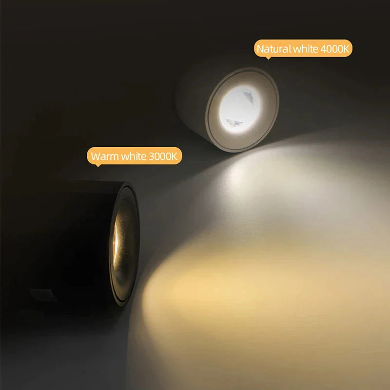 Luminaire Spot tête directionnelle argentée – Référence : Elian3847- - Nexa Lights