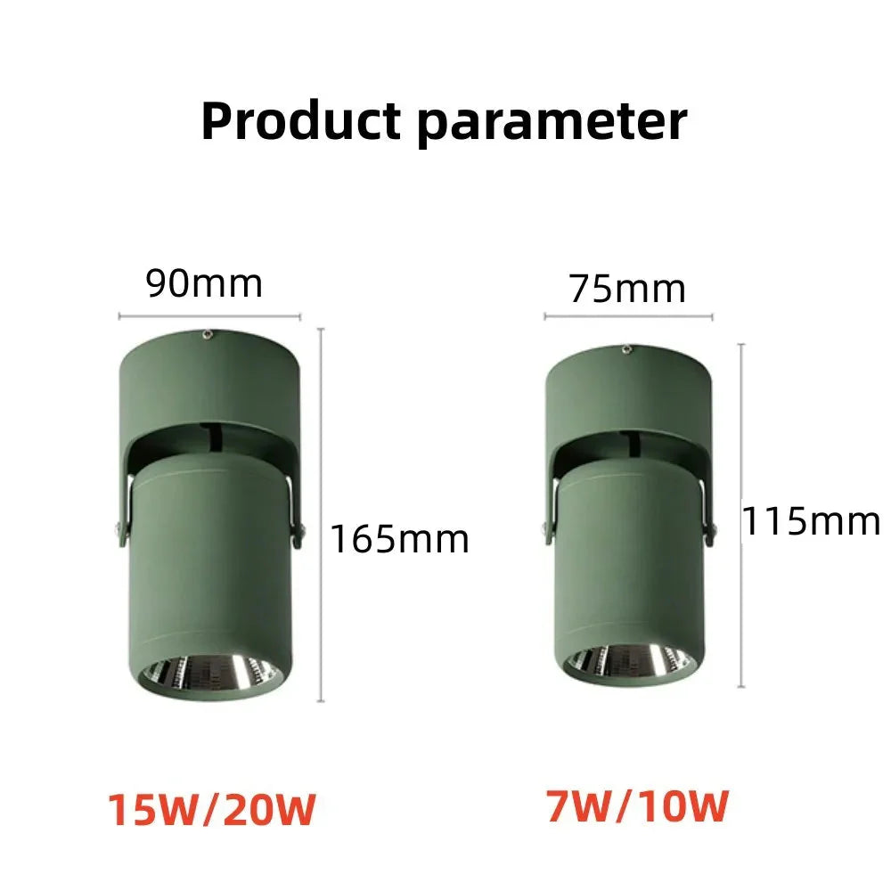 Luminaire Spot tête directionnelle chrome – Référence : Elowen5839- - Nexa Lights