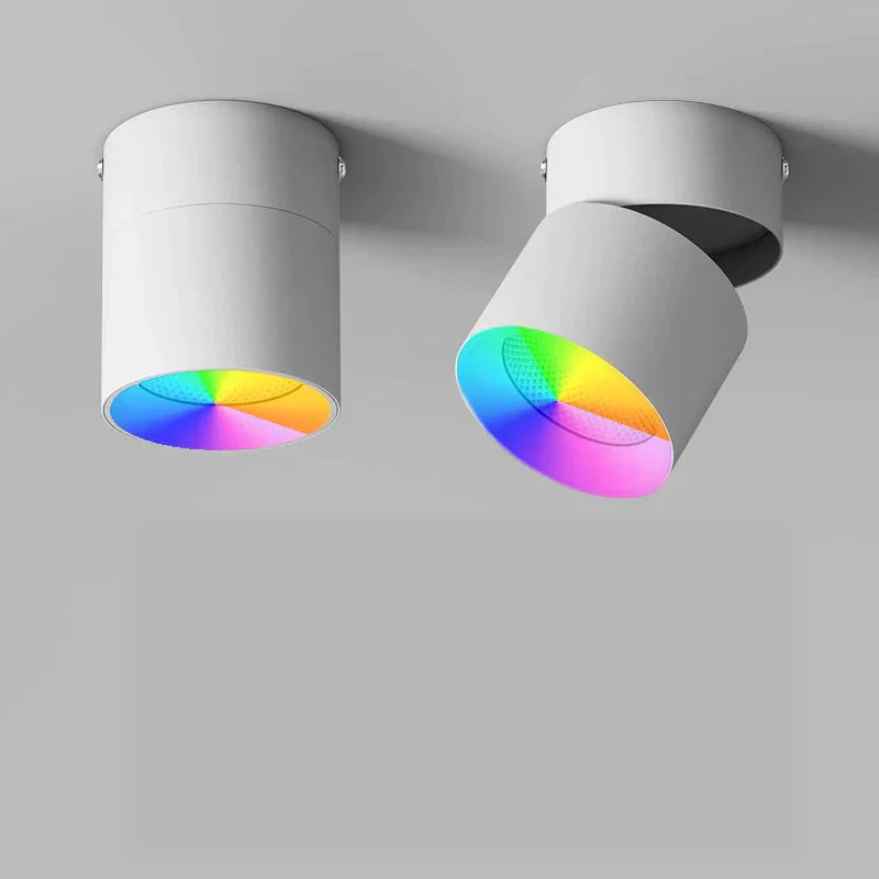 Luminaire Spot tête directionnelle finition chrome – Référence : Elora7654- - Nexa Lights