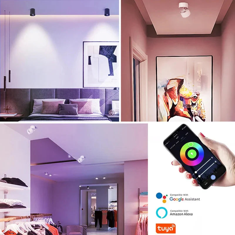 Luminaire Spot tête directionnelle finition chrome – Référence : Elora7654- - Nexa Lights