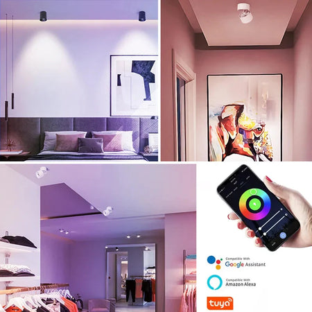 Luminaire Spot tête directionnelle finition chrome – Référence : Elora7654- - Nexa Lights