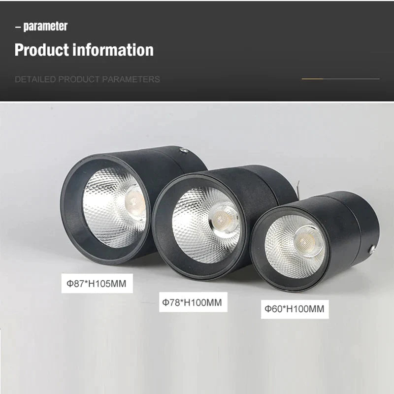 Luminaire Spot tête directionnelle finition chrome – Référence : Elora7654- - Nexa Lights