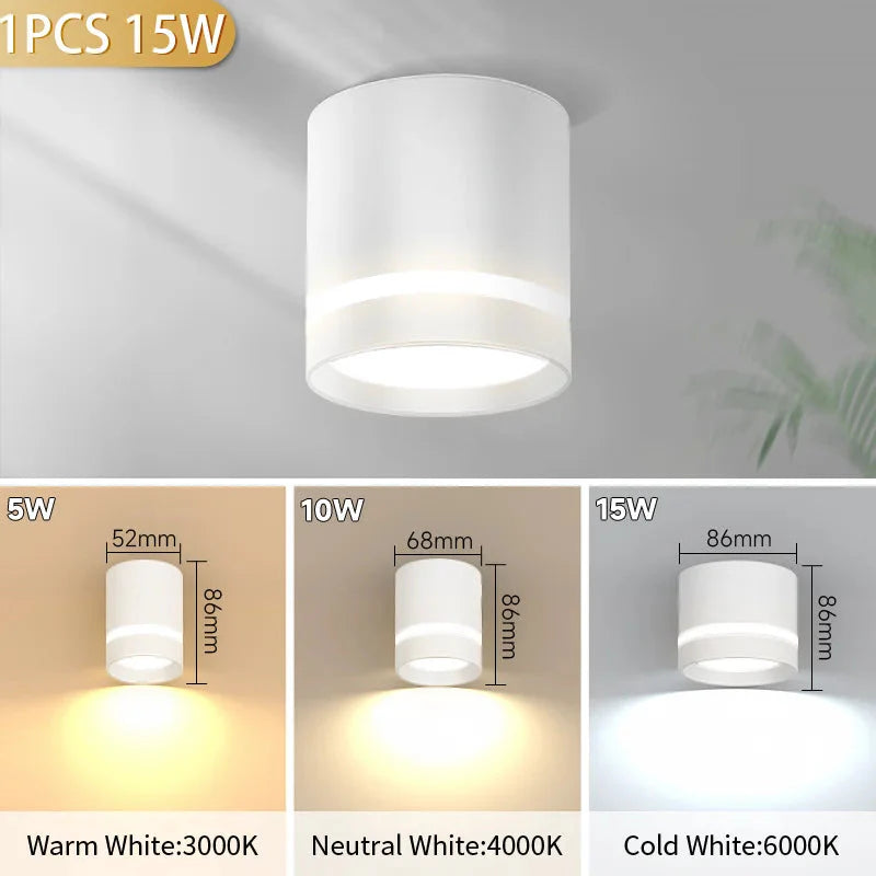 Luminaire Spot tête directionnelle finition chrome – Référence : Elysée7325-ILLUMEEN.COM